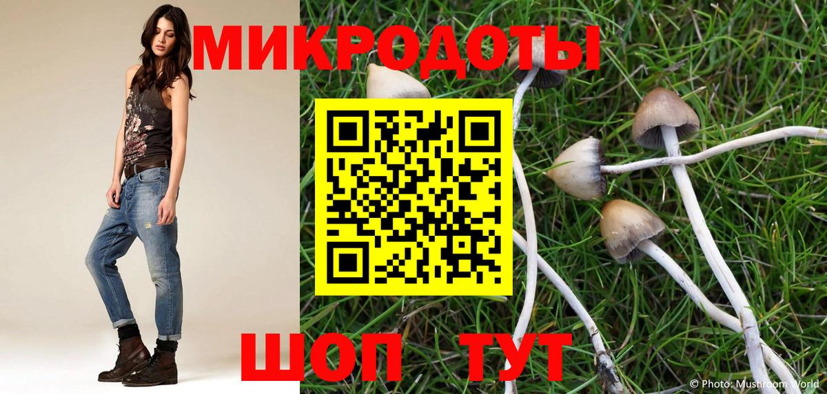 Псилоцибиновые грибы мицелий Гулькевичи