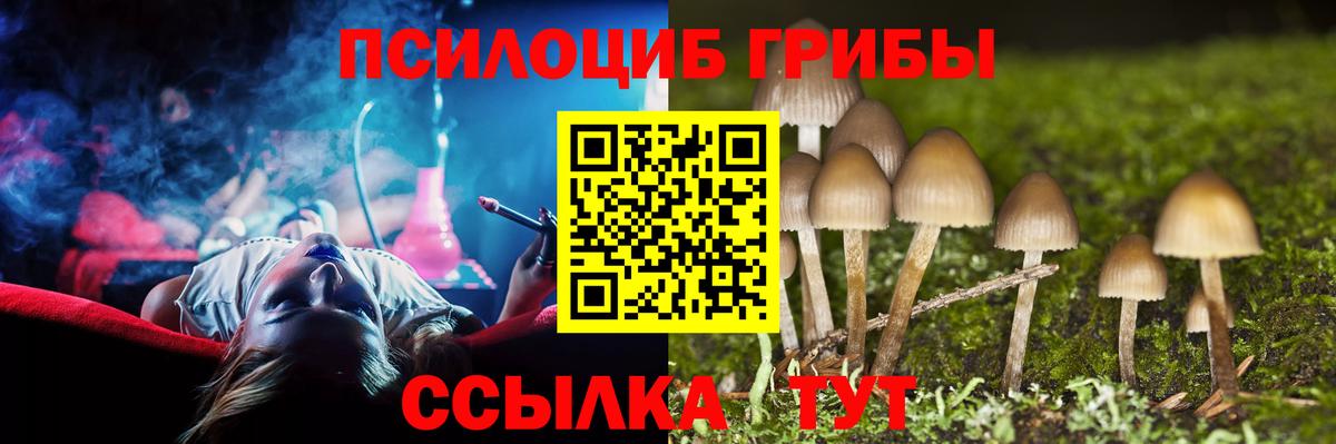 Гулькевичи  Псилоцибиновые грибы Psilocybe  Вход с VPN 